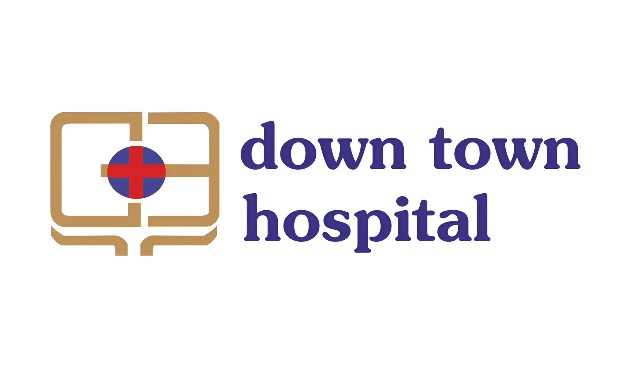 DOWN TOWN HOSPITALS LTD Logo