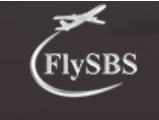 FLY SBS UNLISTED SHARES Logo
