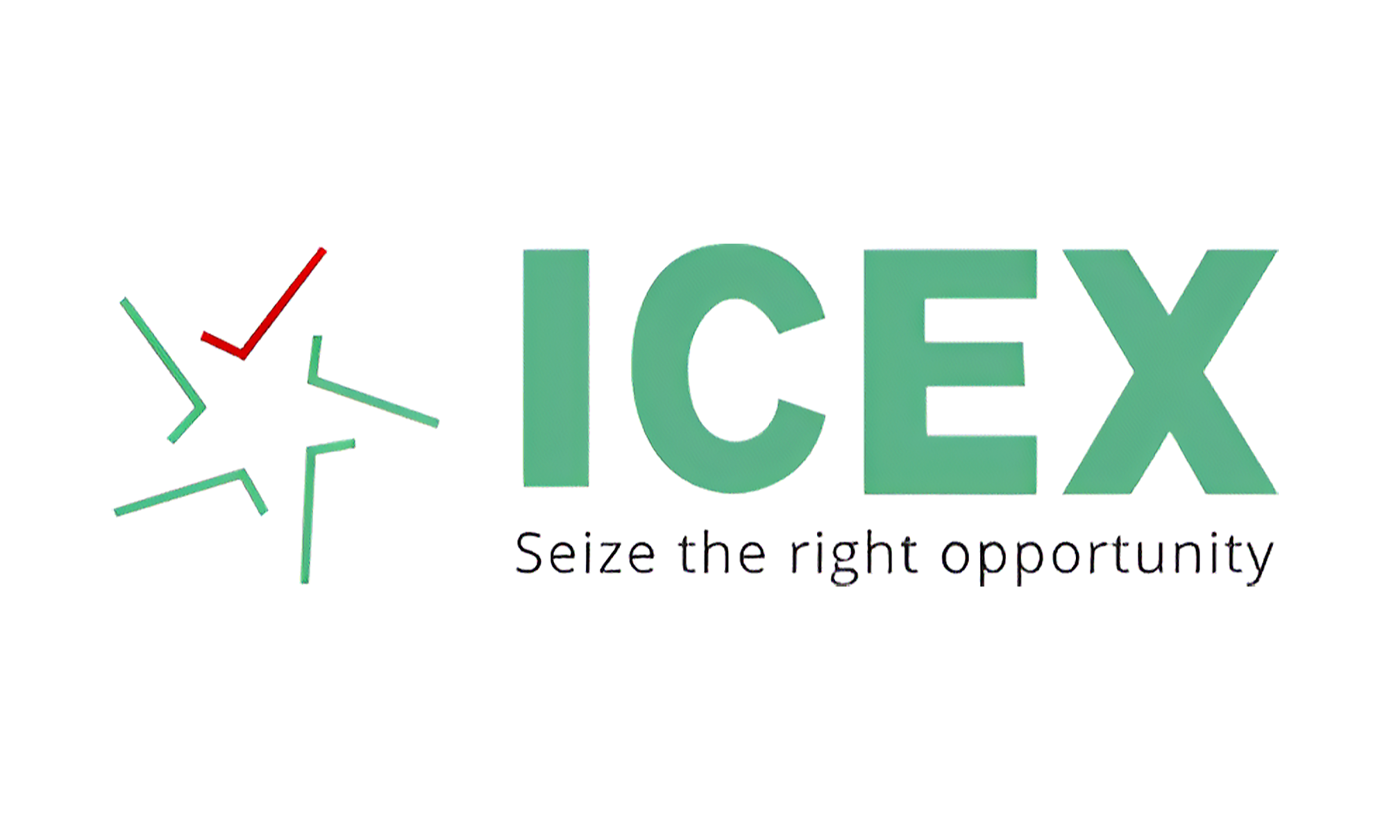 ICEX LTD Logo