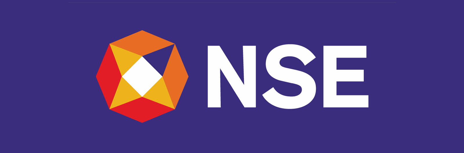 NATIONAL STOCK EXCHANGE Logo