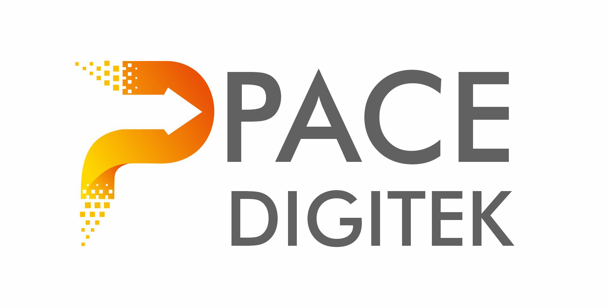 PACE DIGITEK INFRA PRIVATE LIMITED Logo