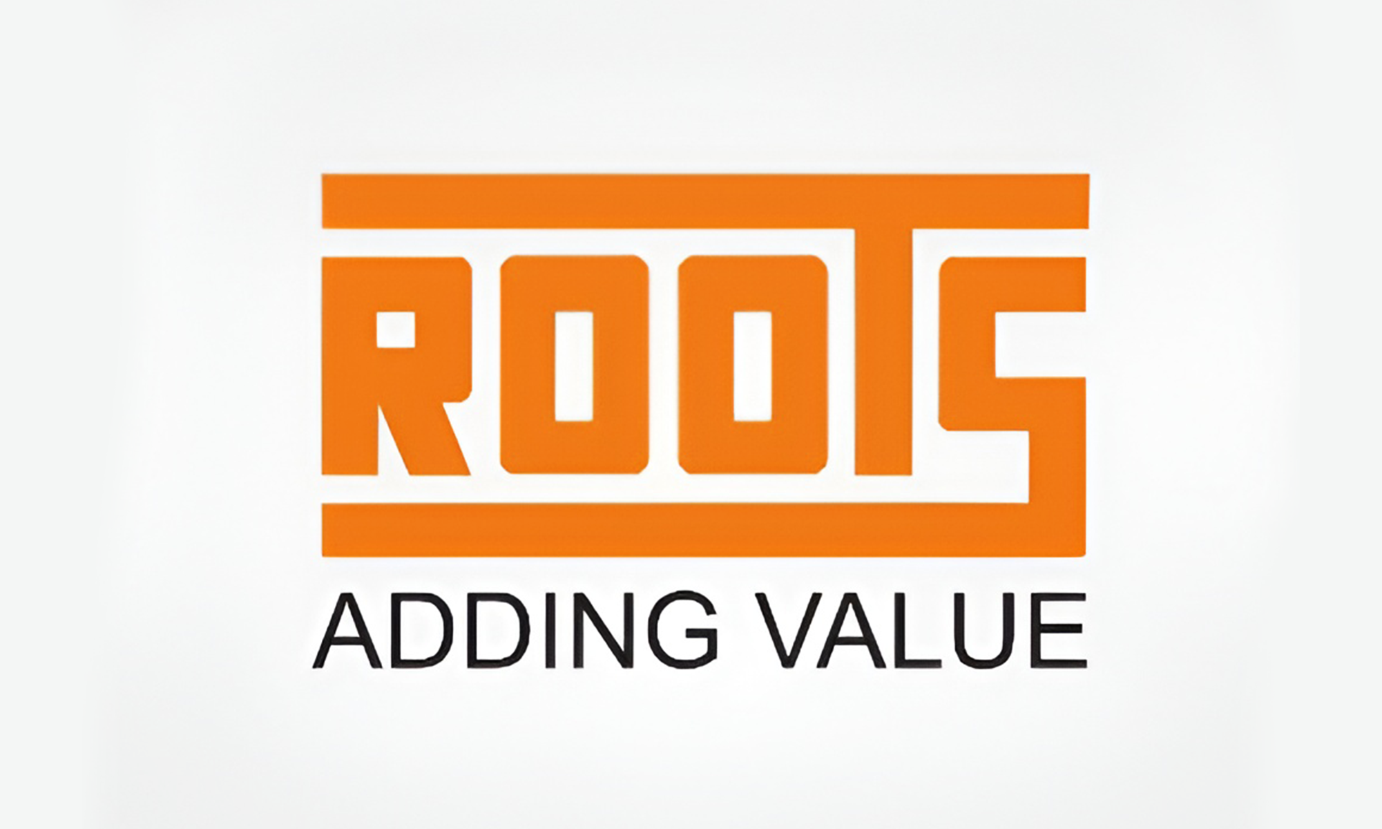ROOTS MULTICLEAN LTD Logo